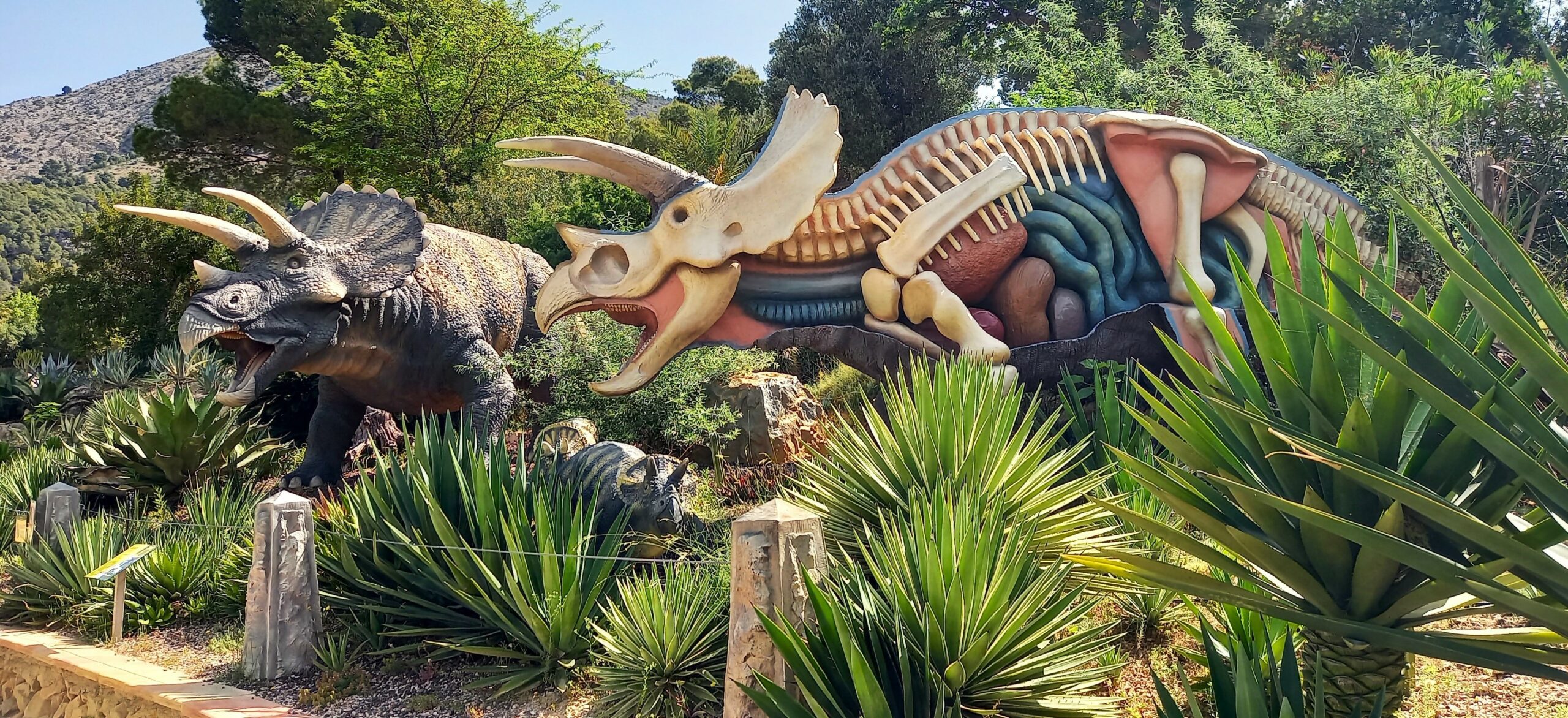 Vive una aventura prehistórica rodeada de dinosaurios en DinoPark