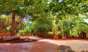 Zona de sombra y esparcimiento
