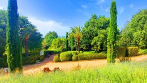 Vistas del jardín botánico de Casa Tápena de Onil