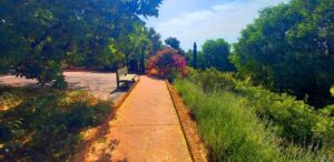 Paseando por el jardín botánico