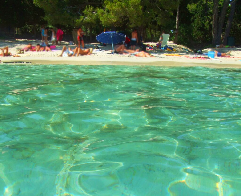 Playas de fina arena rodeada de árboles