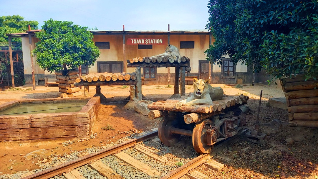Una aventura animal en Terra Natura Murcia