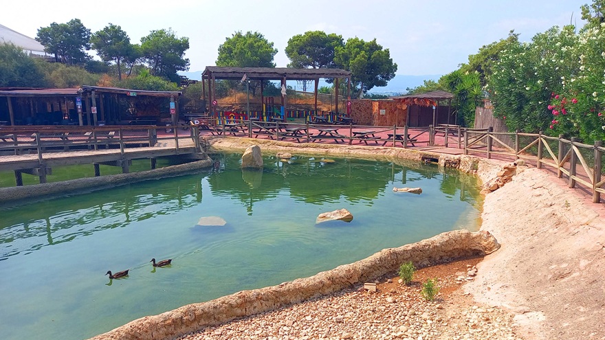 Patos, zona restauración y parque infantil